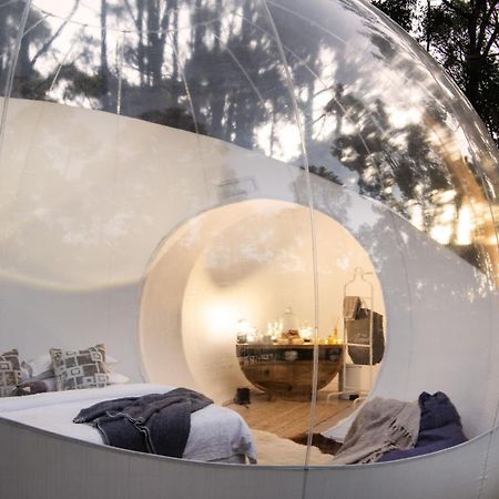 Skyview Bubbletent Eganstown Eksteriør billede